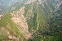 kosujizennkei