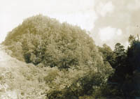 kosujiennkeis11