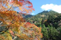 kouyounametoko