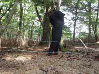 isidatekuma