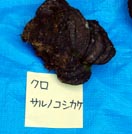kurosaru