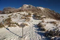 kuwasetouge