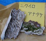 nikuiroanatake