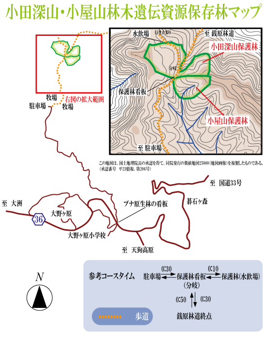 odamimap
