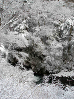 odamifuyu