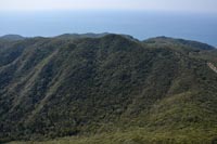 sadayamahigasi