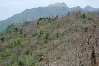 sirasatougekame
