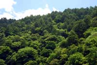 takatori