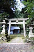 tennjituturugi