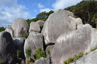 toujinndaba