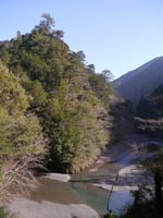 yanasemakino