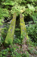 yasudahasi