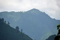 yokoarejinnkichi