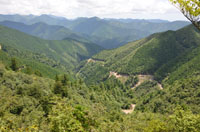 yokoaresenn
