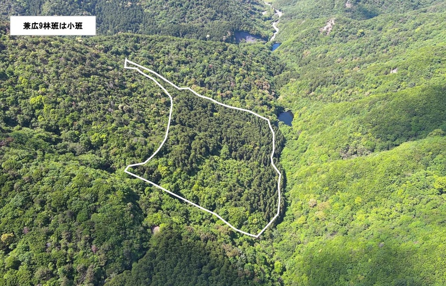 兼広9はドローン撮影画像