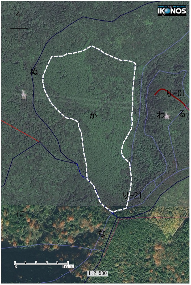 大坂1かドローン撮影画像