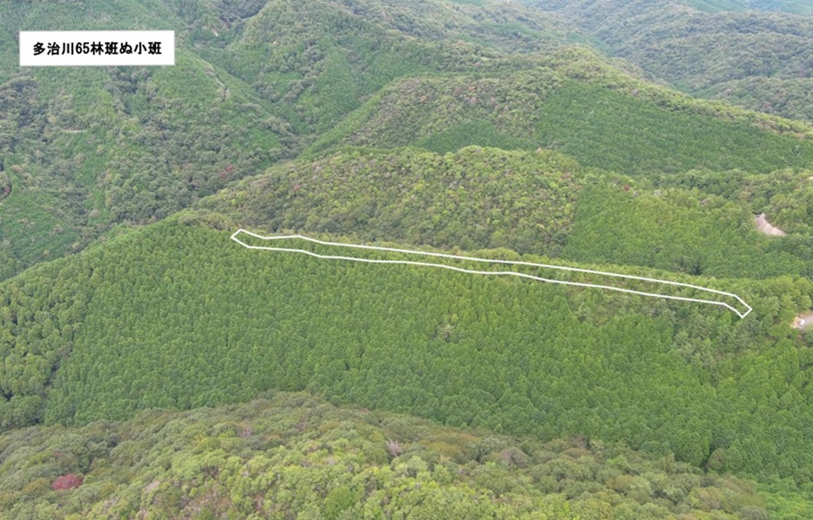 多治川65ぬドローン撮影画像