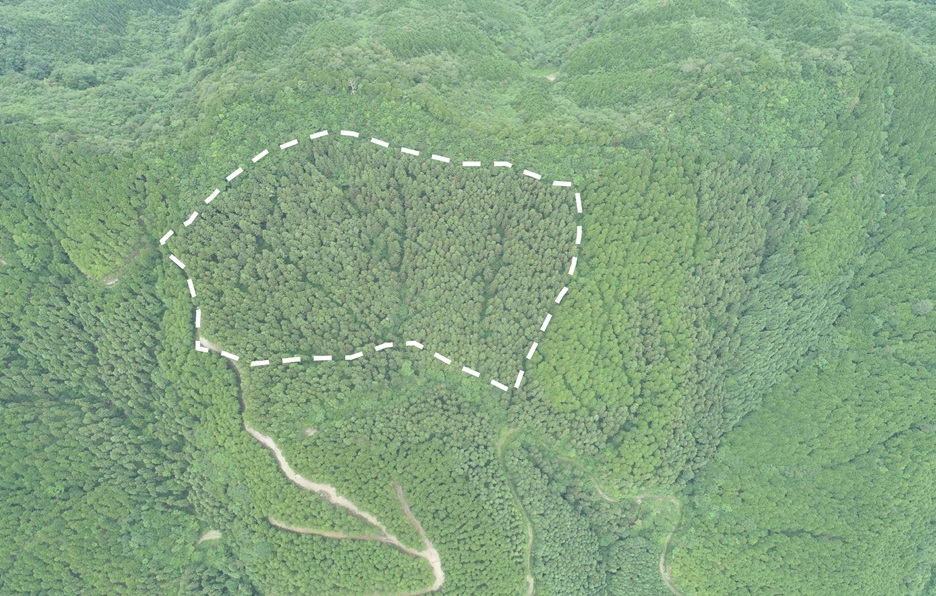 安居山283るドローン撮影画像