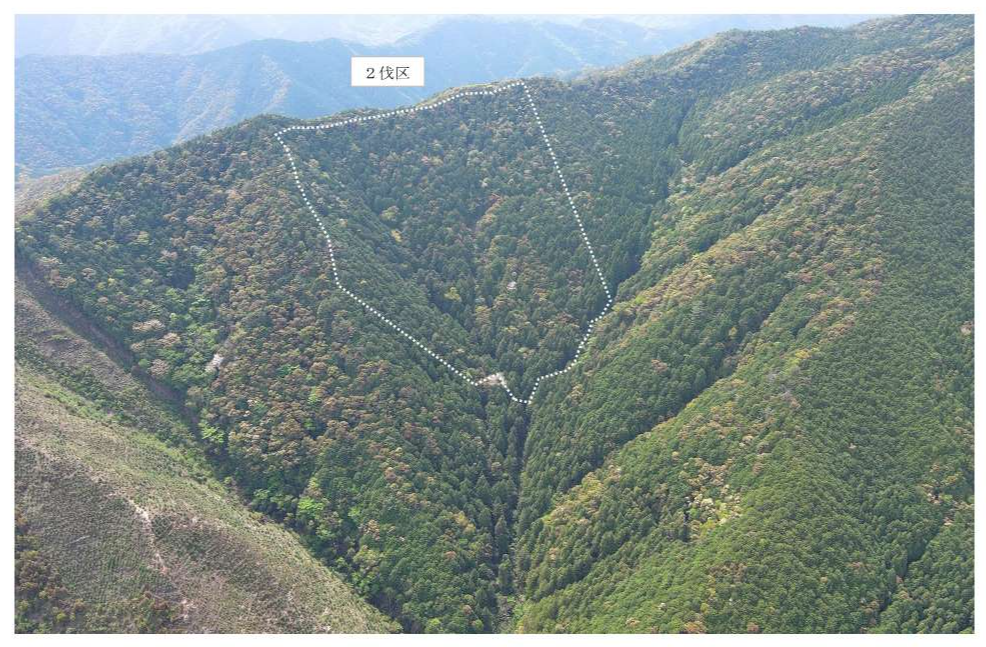 川奥山54に2（２伐区）ドローン撮影画像