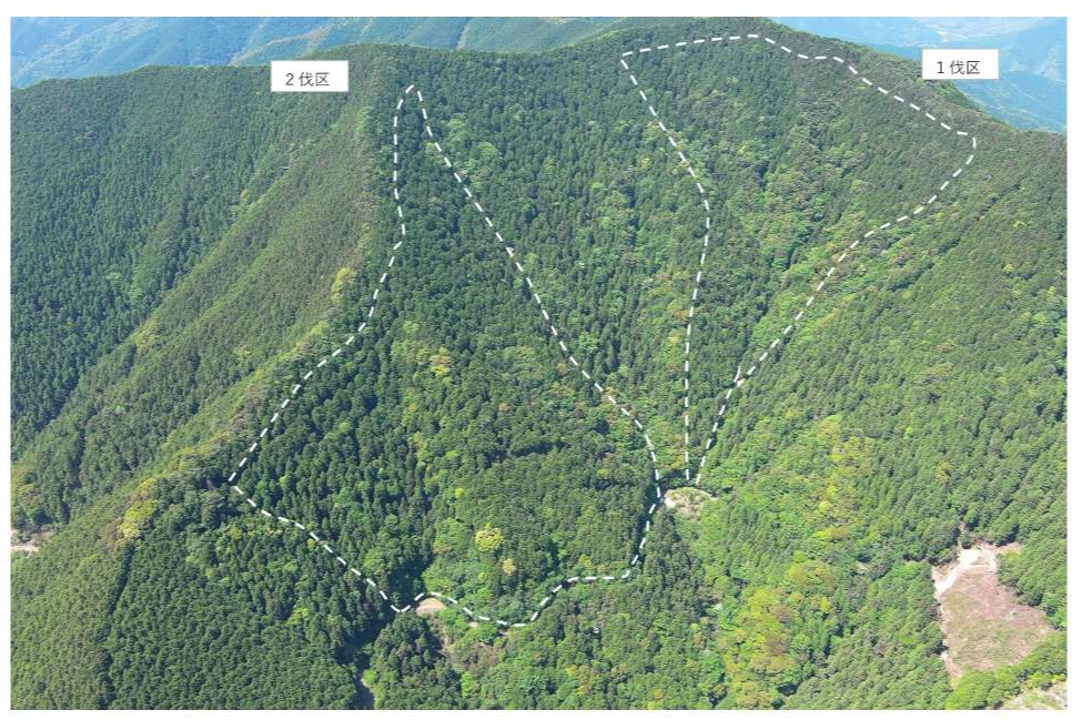 掃地山70ろドローン撮影画像