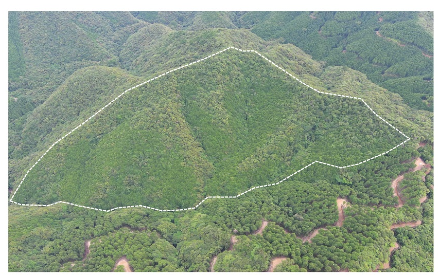 葛篭山207いドローン撮影画像