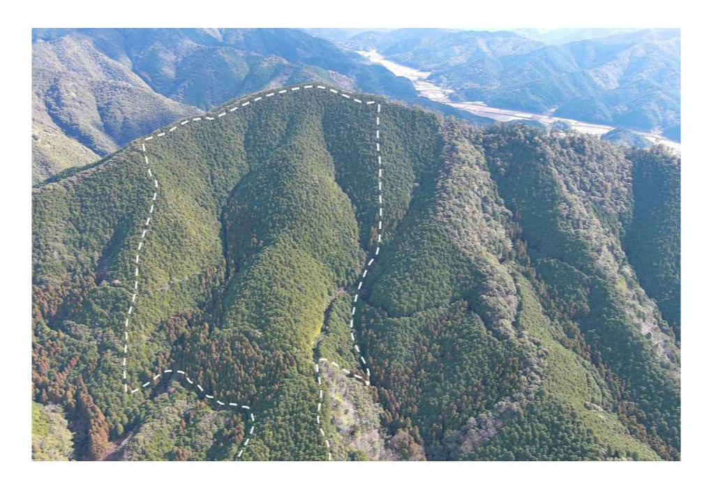 東畑ヶ谷山1009ち遠望写真