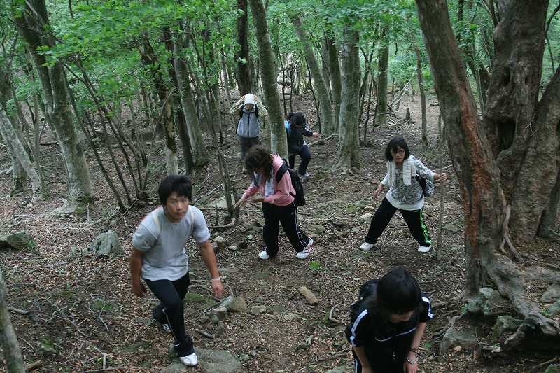 険しい