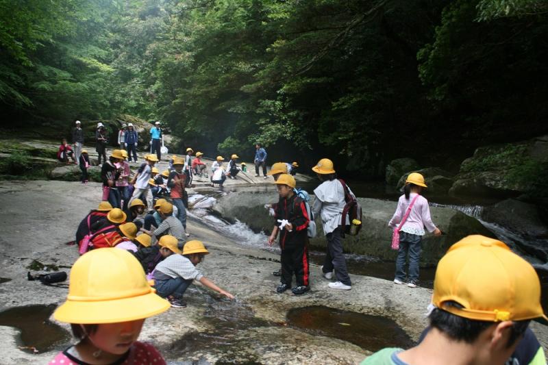 森とも登山_滑床渓谷