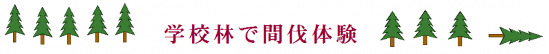 学校林で間伐体験