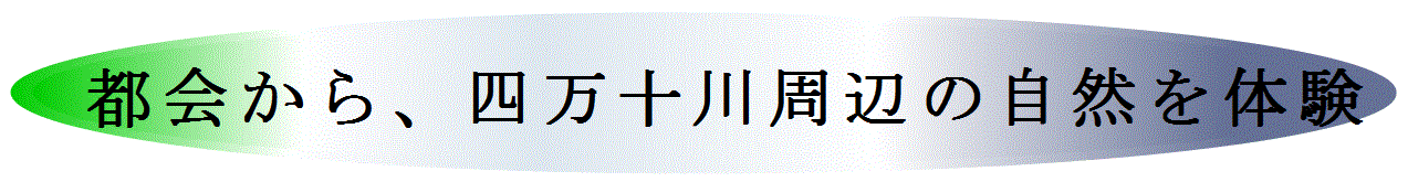 森川40四万十川周辺の自然を体験