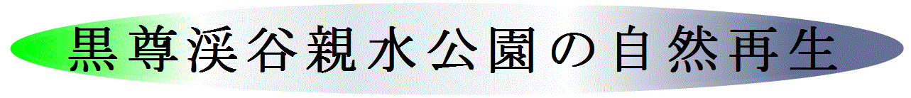 森川40黒尊自然再生