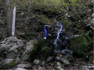 源流の水を飲む