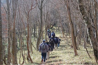 八面山登山