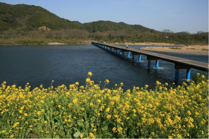 佐田沈下橋