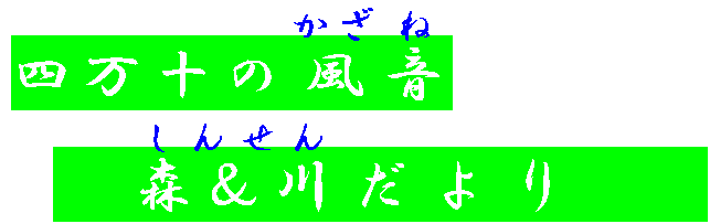 四万十の風音森＆川だより