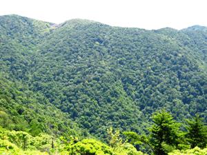 黒尊山自然観察教育林です