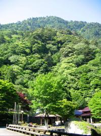 滑床自然休養林です