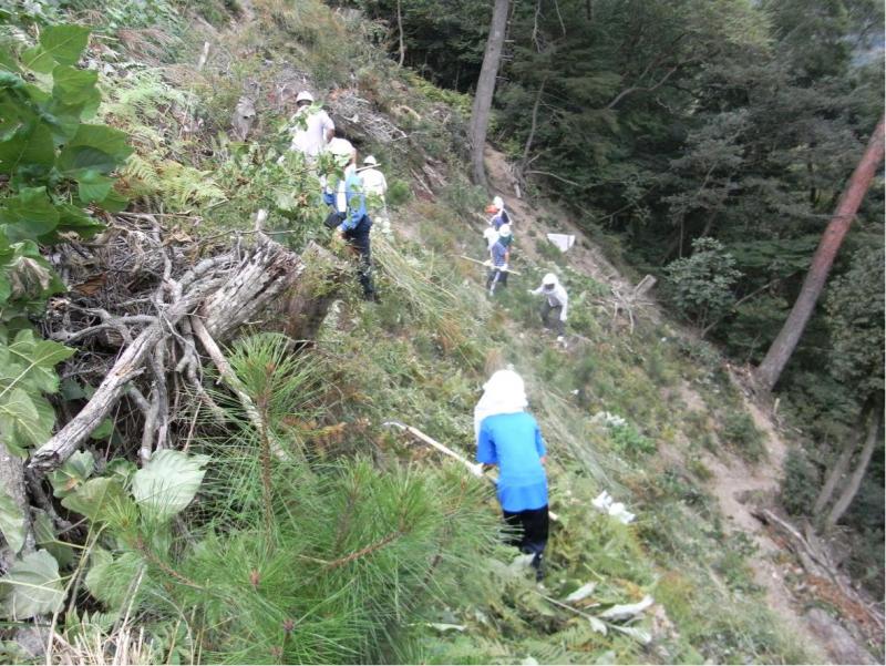 今年も「林業（下草刈り）体験」地元中高校生の作業中