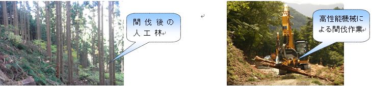 徳島署_森林の整備