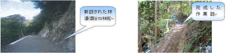 路網の整備