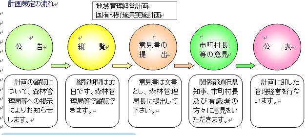 計画策定の流れ_tokusimasyo 