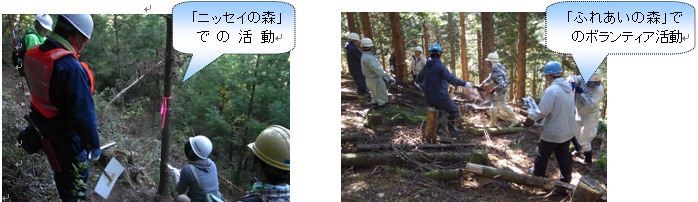 国民参加の森づくり