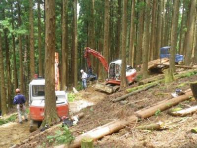 つるぎ町実平外間伐作業中