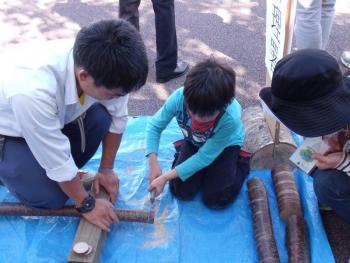17_徳島市藍場町藍場浜公園