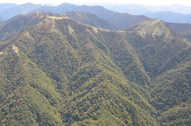 24_剣山植物群落保護林（名頃谷山国有林44_47林班）