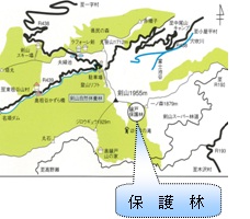 鎗戸シコクシラベ保存林図面