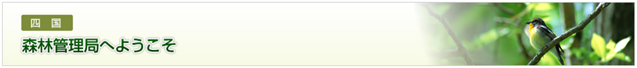 四国森林管理局へようこそ