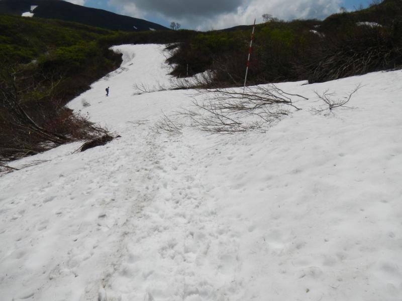 写真：登山道の様子