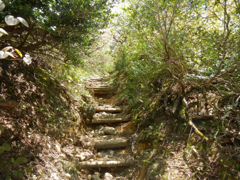 登山道イメージ