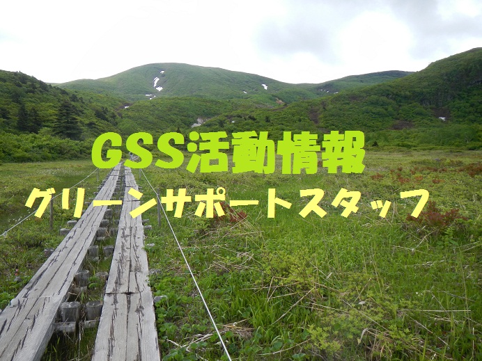 GSS活動情報